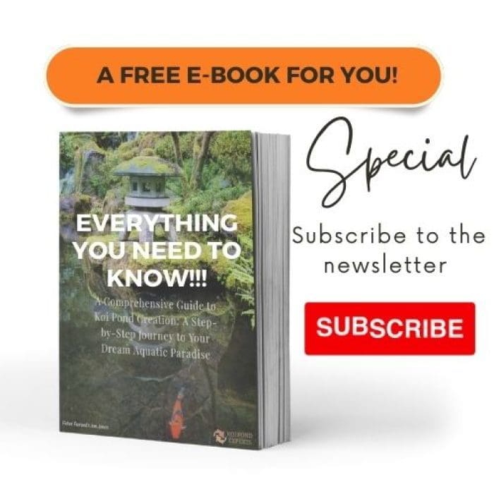 can-koi-fish-survive-in-a-pond-without-a-pump-exploring-natural-pond