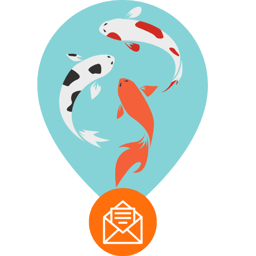 koi fish newsletter