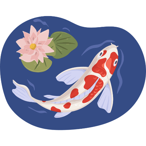 koi pond community