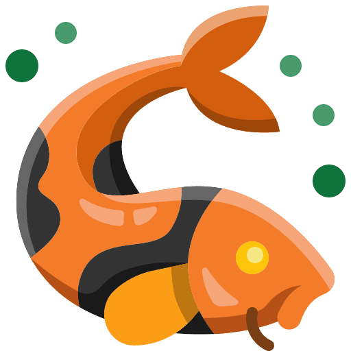 koi fish