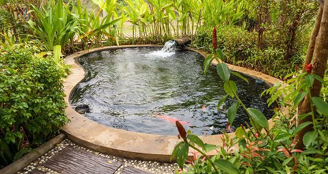 elegant little koi pond (cement)