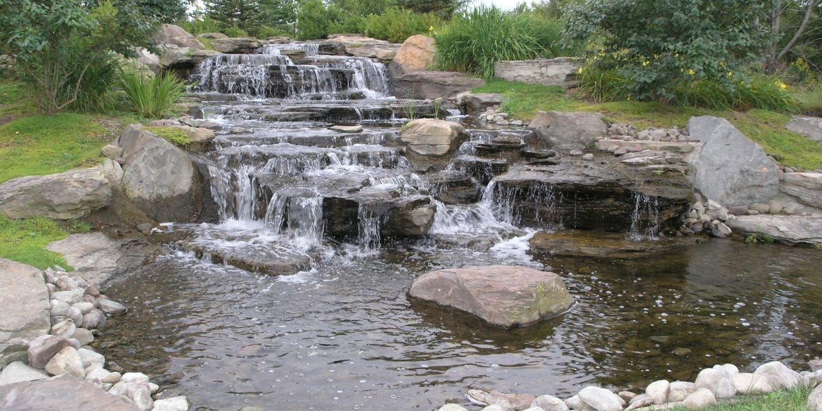 home koi pond in denver