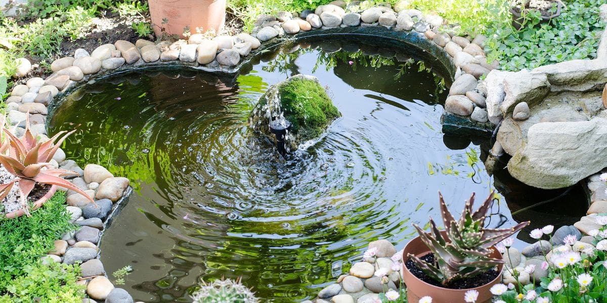 small home koi pond