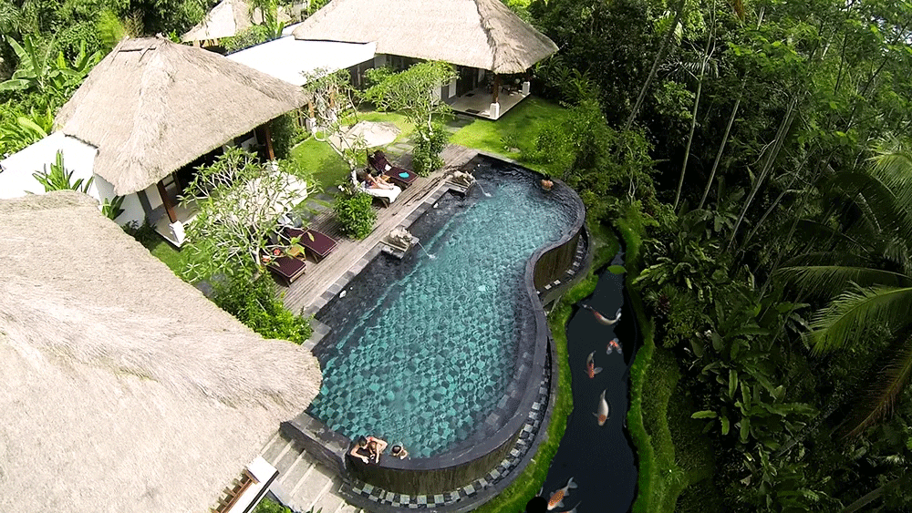 koi pond at amrita