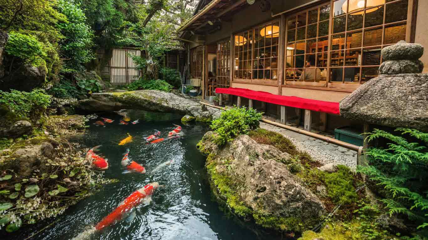 How Big Do Koi Get in a Pond