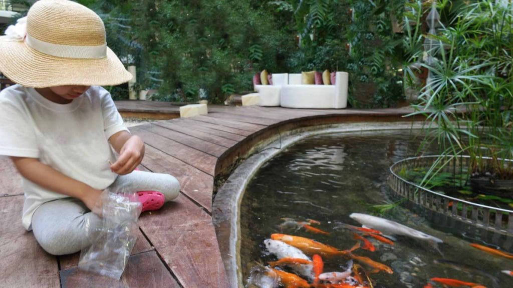 Does a Koi Pond Add Value to a House