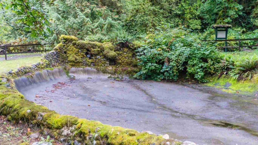 How much water evaporates from a koi pond