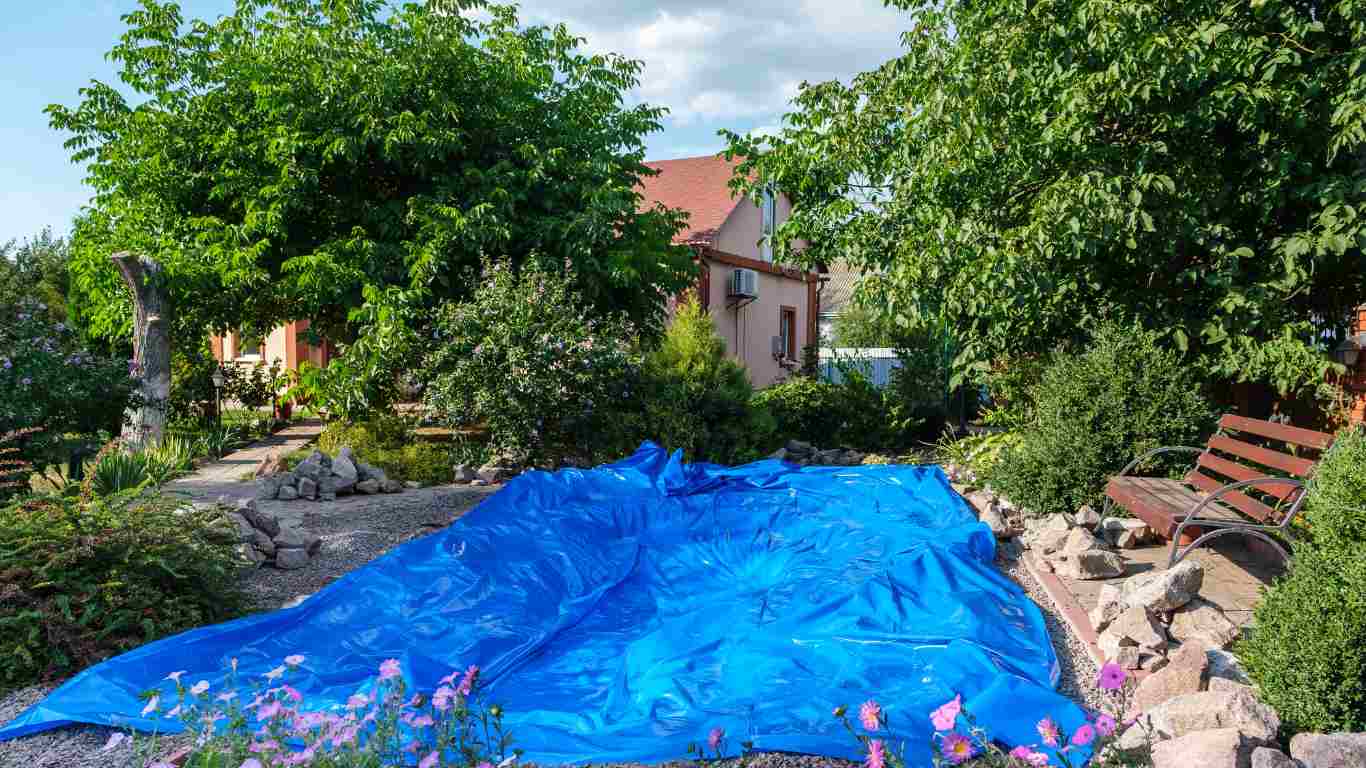 Pond Cover