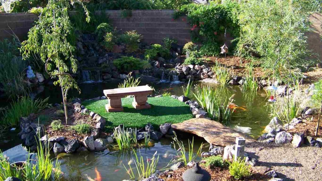 How to Improve Your Koi Pond Oasis