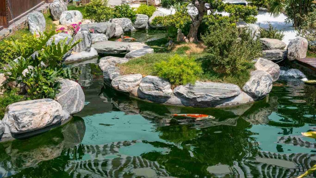 How to Improve Your Koi Pond Oasis