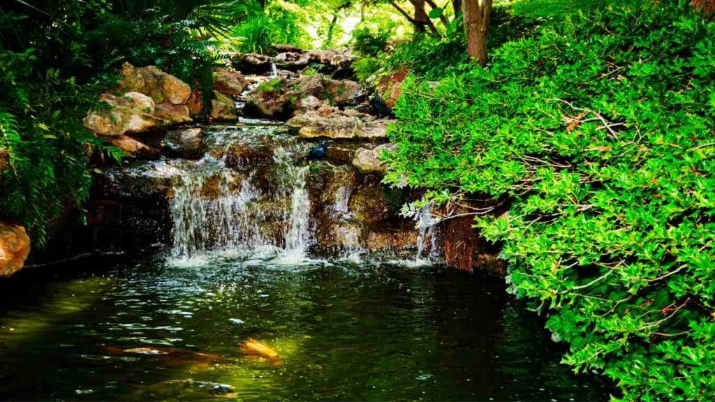 How to Build a Koi Pond with Waterfall