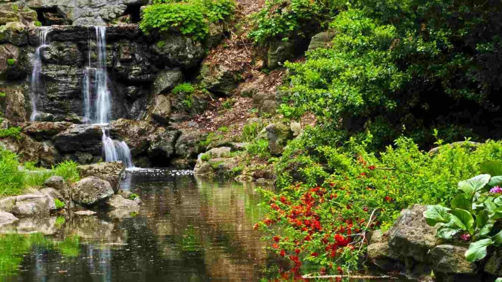 How to Build a Koi Pond with Waterfall