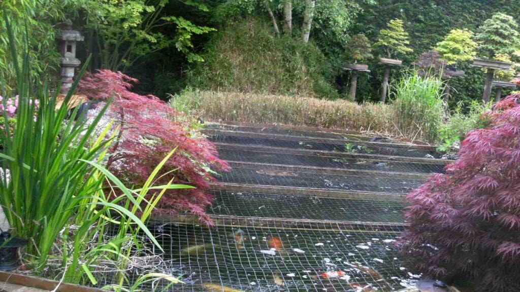 Netting covering a garden pond