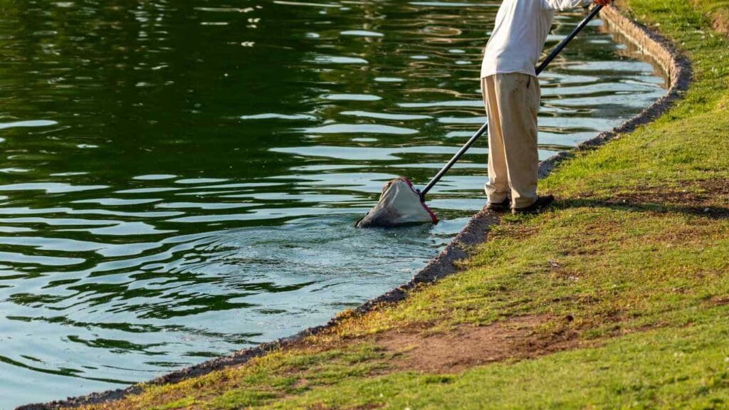 cleaning pond